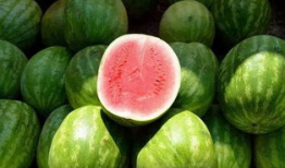 吃瓜网图片像是瓜