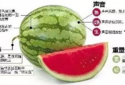 湘潭网红吃瓜群微信,揭秘网络社交圈的趣味与热议