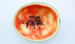 网红吃瓜大勺子图片,揭秘娱乐圈幕后真相