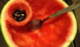 网红吃瓜大勺子图片,揭秘娱乐圈幕后真相